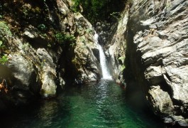 Canyon Du Ruisseau'albès Dans Le Caroux