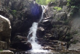 Moniteur Canyoning Dans Les Cascades D'Orgon En Cévennes, Dans Le Gard Près De Ganges Dans Le Languedoc. Basé Sur Montpellier, Des Sports De Pleine Nature Pour La Famille Et Les Sportifs.