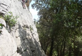 Escalade En Famille Ou Entre Amis Dans Le Thaurac, Près De Montpellier, Dans Le Gard Et L'Hérault, Près De Nimes