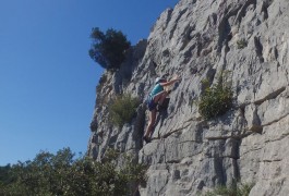 Escalade à Valflaunès Avec Les Moniteurs D'Entre2nature, Basé à Montpellier