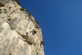 Rappel En Escalade Grande Voie Sur Les Falaises Du Thaurac, Près De Montpellier, Dans L'Hérault En Languedoc.