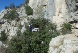 Tyrolienne De La Via-ferrata Du Thaurac En Languedoc-Roussillon Près De Montpellier Dans L'Hérault Et Le Gard, Avec Les Moniteurs D'entre2nature