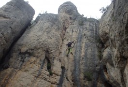 Pont De Singe Au-dessus Du Liaucous. Via-ferrata, Canyoning, Escalade Dans L'aveyron