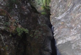 Canyon De L'Albès Dans Le Caroux, Au Coeur De L'Hérault.