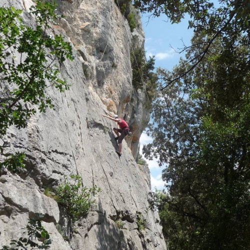 Escalade Découverte Pour Débutants Dans L'Hérault Près De Montpellier