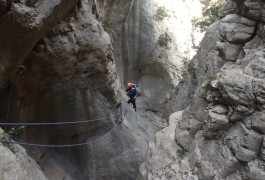 Parcours Aventure Et Rappel Dans L'Hérault Près De Montpellier