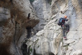 Parcours Aventure Au Verdus Tout Près De St-Guilhem Le Désert En Languedoc