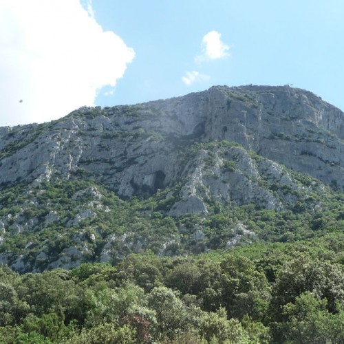 Parcours Aventure Au Pic Saint-Loup Dans L'Hérault Près De Montpellier