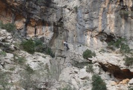 Randonnée-rappel Près De Saint-Guilhem Le Désert Et De Montpellier Dans L'Hérault