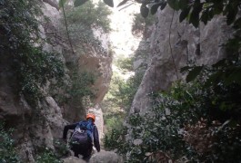 Randonnée-rappel Près De Montpellier Et Saint-Guilhem Le Désert Au Verdus