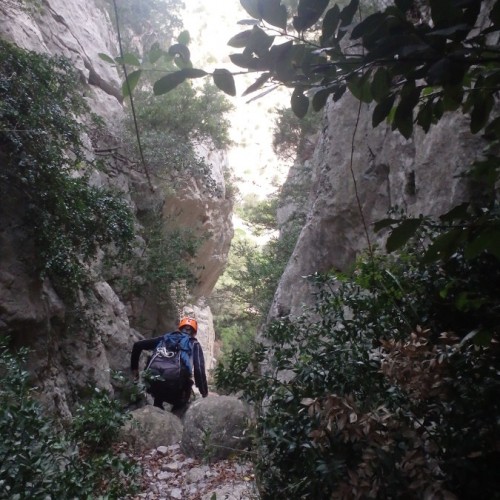 Randonnée-rappel Près De Montpellier Et Saint-Guilhem Le Désert Au Verdus