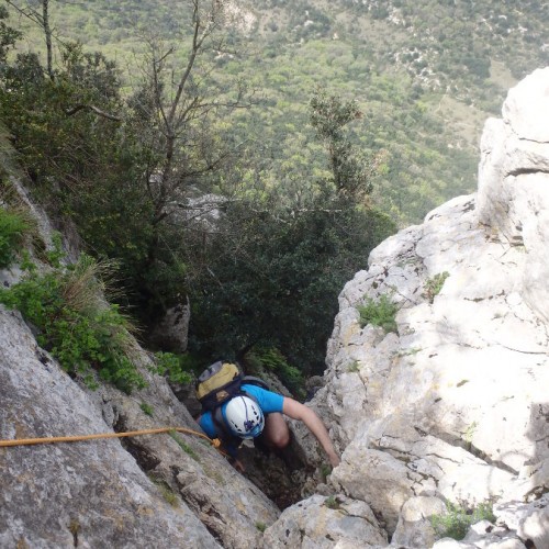 Randonnée-rappel Et Parcours Aventure Près De Montpellier