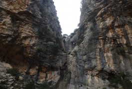 Randonnée-rappel Du Verdus Près De St-Guilhem Le Désert Dans L'Hérault Près De Montpellier