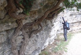 Rappel Et Randonnée Au Verdus Près De Saint-Guilhem Le Désert