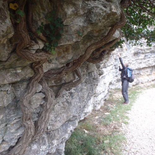 Rappel Et Randonnée Au Verdus Près De Saint-Guilhem Le Désert