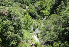 Canyoning Dans Le Canyon De L'Albès Au Caroux En Languedoc