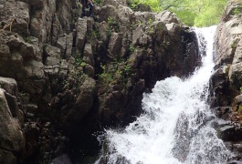 Canyoning Dans Les Cévennes Et Pleins De Sauts Aux Cascades D'Orgon