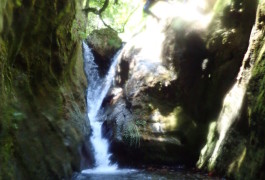 Saut En Canyoning Dans Le Caroux Au Ruisseau D'Albès