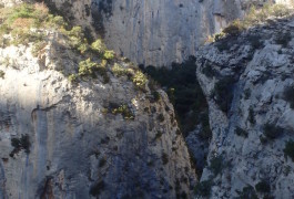 Randonnée-rappel Au Canyon Du Verdus Dans L'Hérault